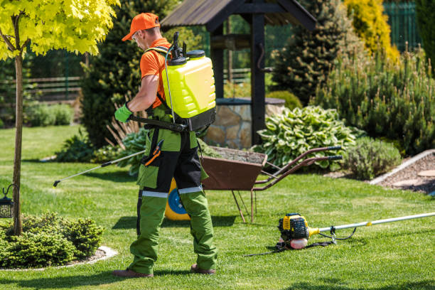 Best Lawn Pest Control  in Cumberland Center, ME